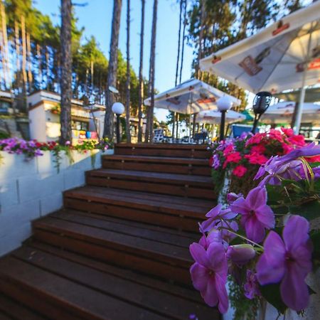 Dream View Otel Byala  Dış mekan fotoğraf